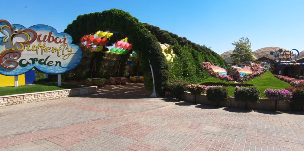 Dubai Butterfly Garden