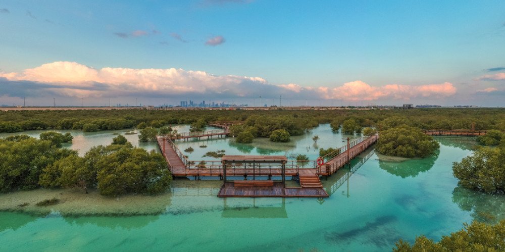 Mangrove National Park Abu Dhabi