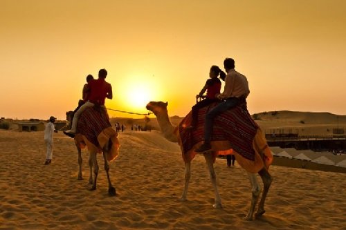 Camel Ride Dubai