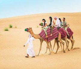 Camel Ride Dubai